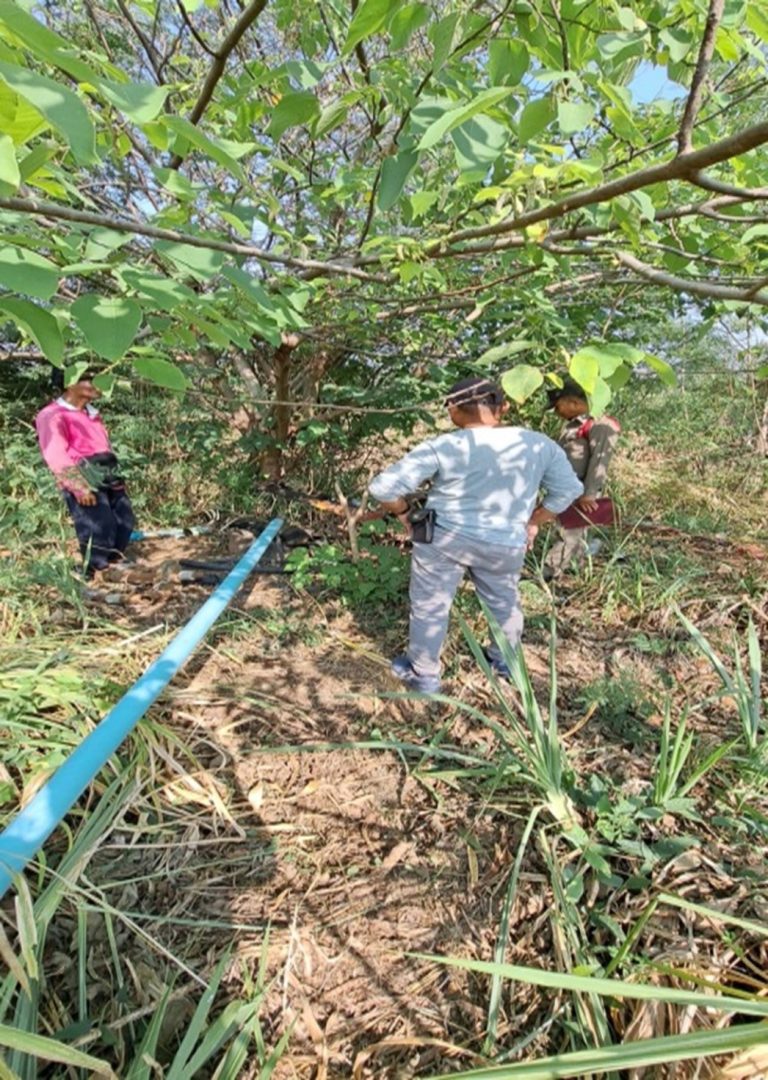 สรุปผลปฏิบัติ มี.ค.68