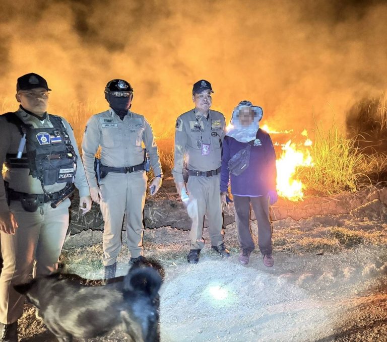 จับกุมผู้ลักลอบเผาป่า